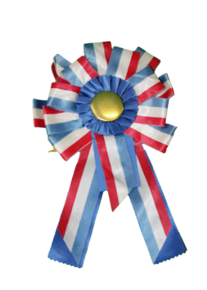 Picture of Award Ribbon #1