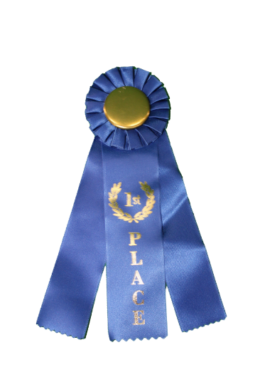 Picture of Award Ribbon #2