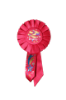 Picture of Award Ribbon #4