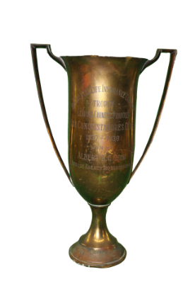 Picture of Trophy Cup