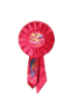 Picture of Award Ribbon #4