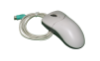 Picture of Computer Mouse